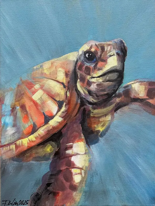 Acryl-Malkurs: Schildkröte - 28.10.2025